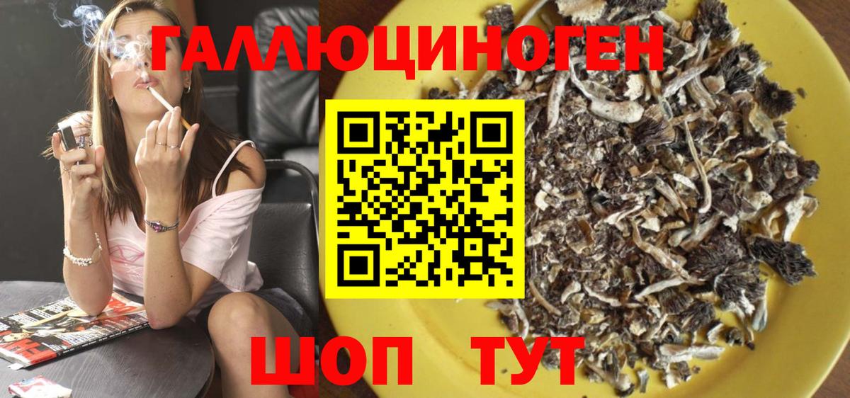 Магадан  Галлюциногенные грибы Psilocybine cubensis  Вход с VPN 
